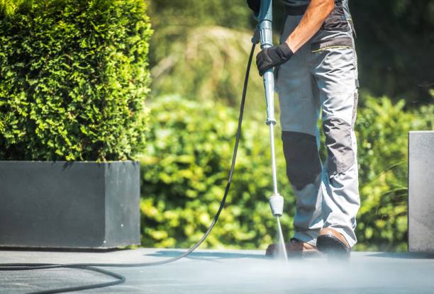 Boat and Dock Cleaning in Maysville, KY